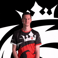 Giggle GIF by Austrian Force eSports