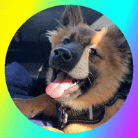 Profile-icon GIFs - Get the best GIF on GIPHY