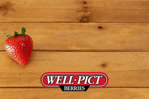 Well Pict Berries GIF