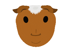 Instagram Sticker