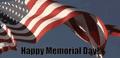 Memorial Day GIF by MOODMAN