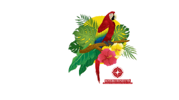 ROTEIRO BONITO MS Sticker