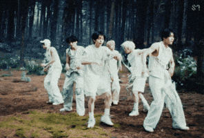 Nct Wish GIF
