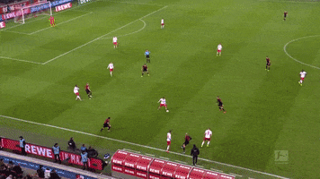 Jhon Cordoba Celebration GIF by 1. FC Köln