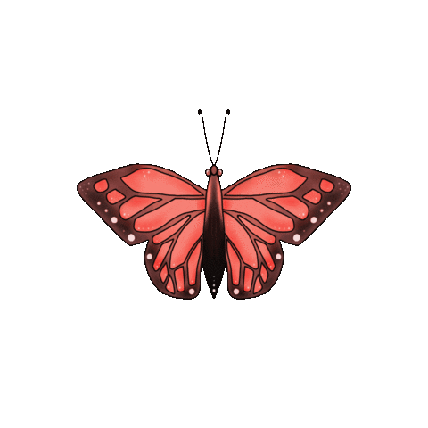 Butterfly Sticker