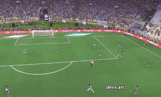 Boca Libertadores GIF by DevX Art