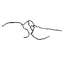 Candan Sticker by Candanchu esqui