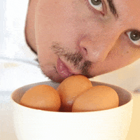 Scrambled Eggs Reaction GIF