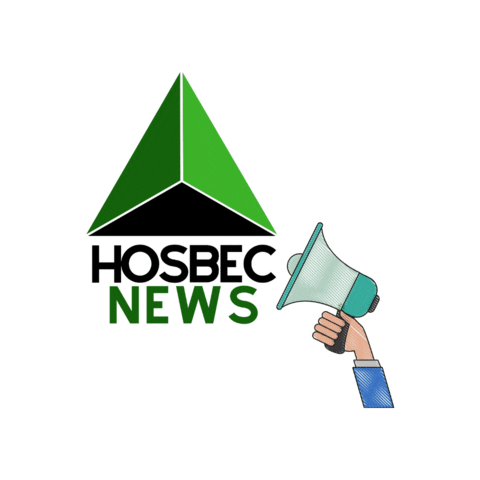 Comunidad Valenciana Turismo Sticker by HOSBECRRSS