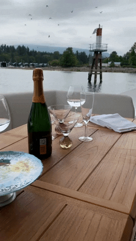 Jamaque Paradis GIF