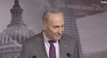 Chuck Schumer Smh GIF by GIPHY News