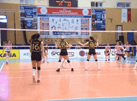 Point Volleyball GIF by Aydın Büyükşehir Belediyespor