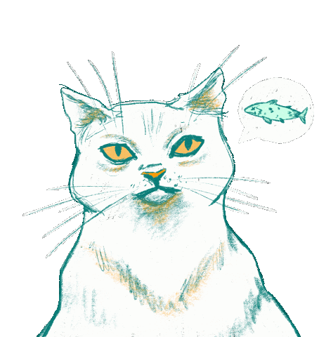Cat Sticker