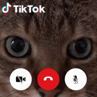 Videochat Chiamare GIF by TikTok Italia