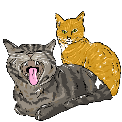 Cats Pet Sticker by ptrzykd