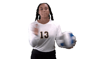 Sport College Sticker by UNCP Braves Athletics