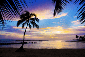 Romantic Getaways GIF