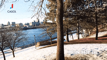 200.gif?cid=fc005b080bd37cd23a2ed69438e8ecd320deeb0e524c0960&rid=200.gif&ct=g
