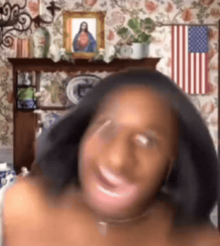 Who Let The Dogs Out Stan Twitter GIF
