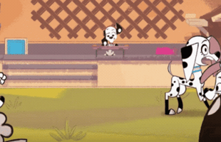 Dance Dancing GIF