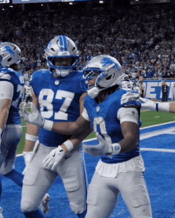 Nfl GIF by Detroit Lions
