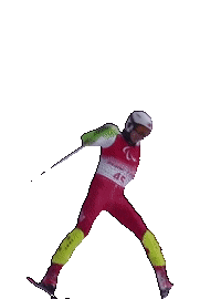 Winter Paralympics Sticker by International Paralympic Committee