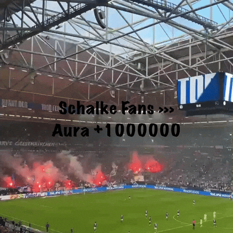 Schalke S04 GIF