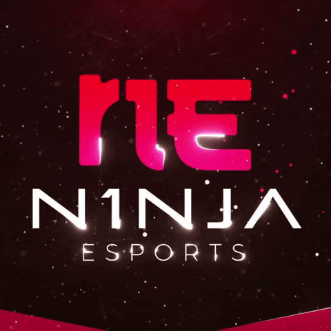 N1NJA ESPORTS GIF
