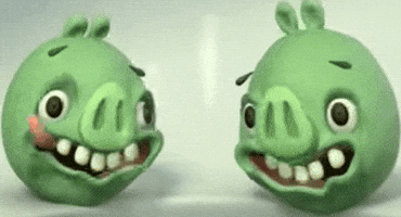 Pig GIF