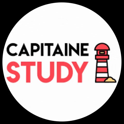 CapitaineStudy orientation icd capitainestudy GIF