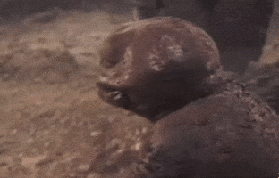 Behave Knock It Off GIF