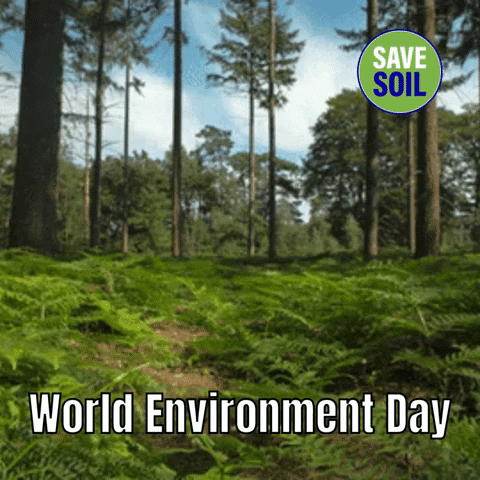 Day World GIF by Save Soil - Art For Soil