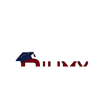 Biumy Academy Sticker