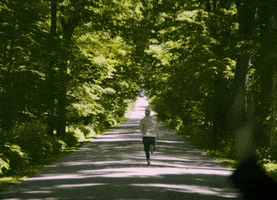 Running Away Scary Movie GIF by Pure Noise Records