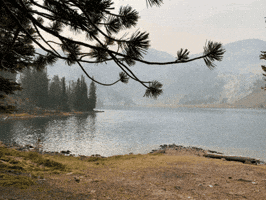 Dr Michael Piepkorn GIF
