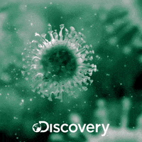 discovery channel virus GIF by Discovery Europe