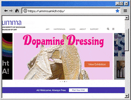 Web Browser Internet GIF by UMMA