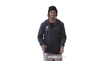 Freeski Fsk Sticker by spainsnow