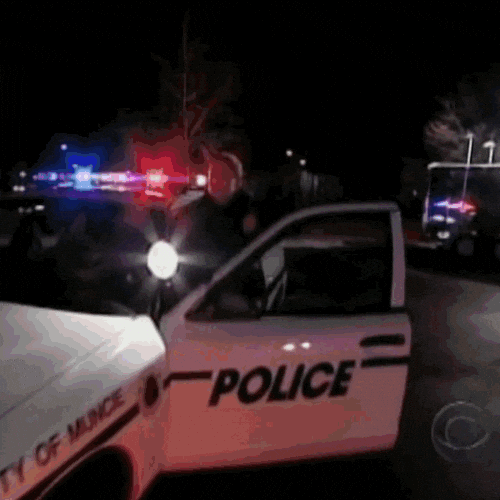 Tv Show Police GIF by Trish Stratus