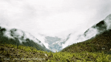 deeptrivedi  GIF