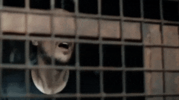 Queen Of The South GIF