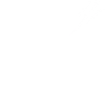 Party Festival Sticker by Studio Wilma