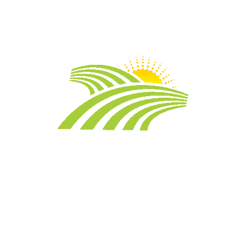 Paludo Agronegócios Sticker