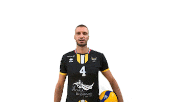 Challenge Volley Sticker by Plessis Robinson VolleyBall