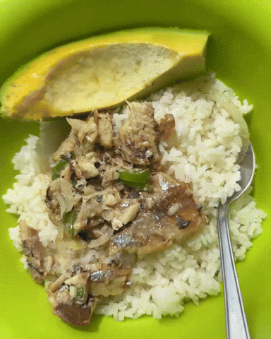 White Rice Breakfast GIF