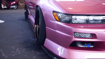 S13 Stancenation GIF by Curated Stance Club!