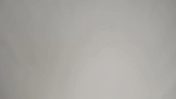 Chipulios GIF
