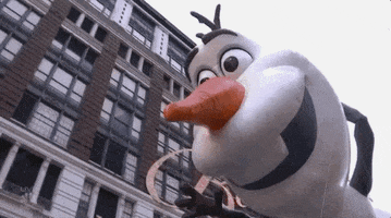 macys olaf