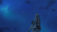 storm kimi GIF