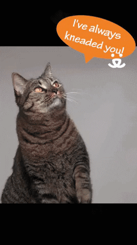 Well Done Reaction GIF by Best Friends Animal Society - Find & Share on GIPHY